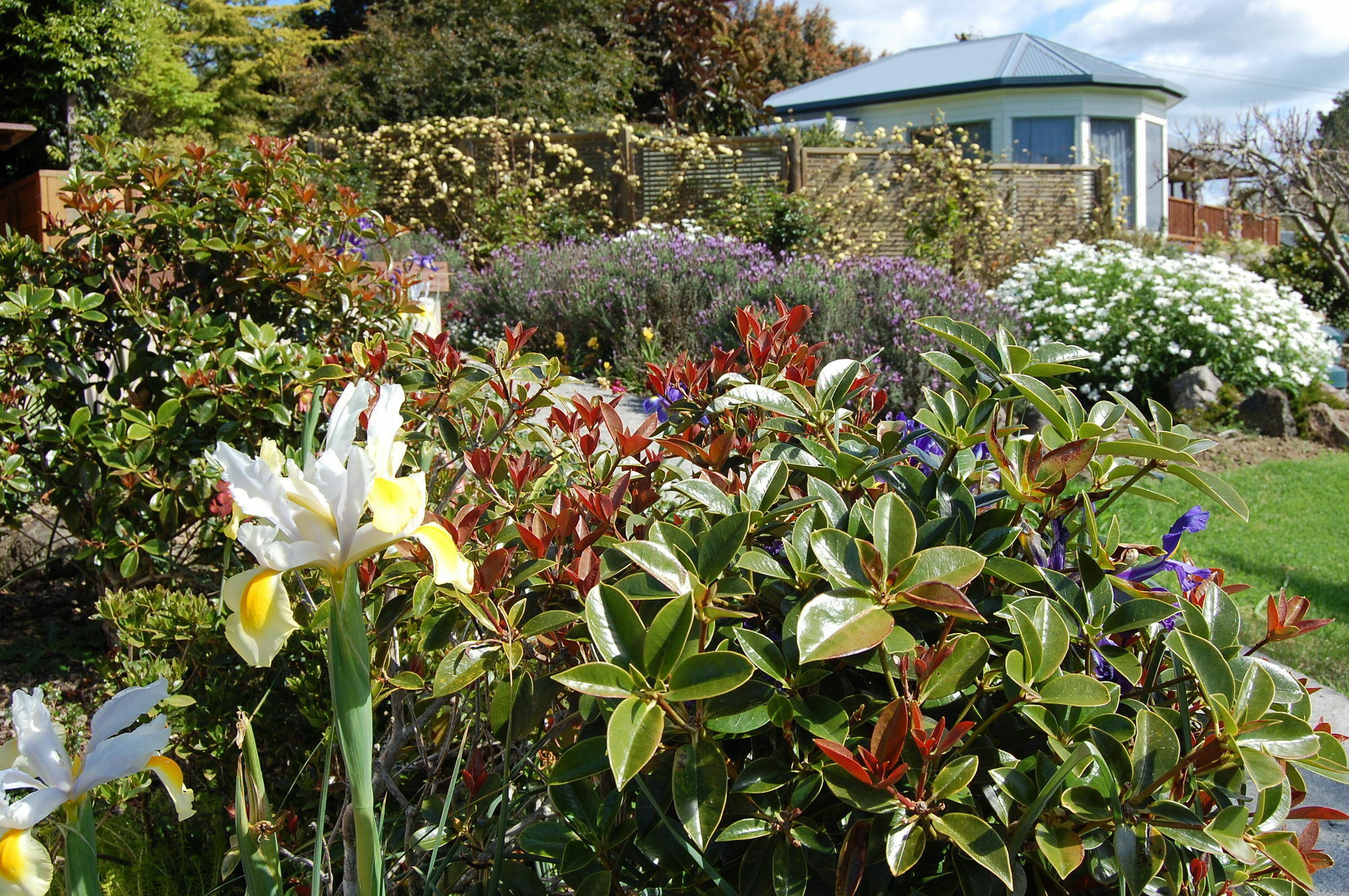 Te Awa Lodge Paihia Exterior photo