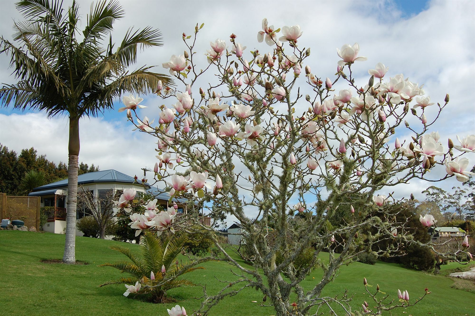 Te Awa Lodge Paihia Exterior photo
